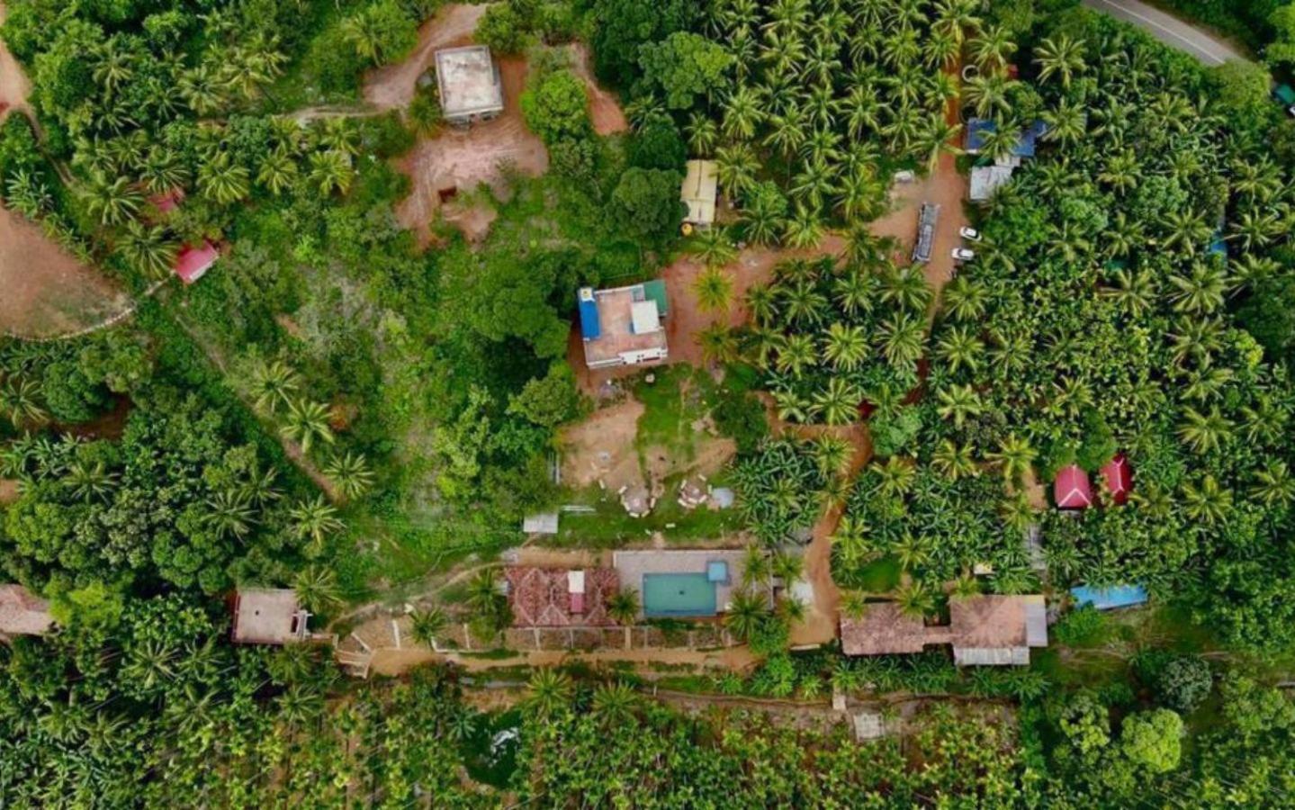 Pepper Paradise By Stayapart Dandeli Eksteriør billede